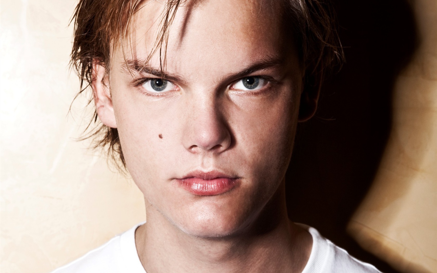 Лучший ди-джей Avicii