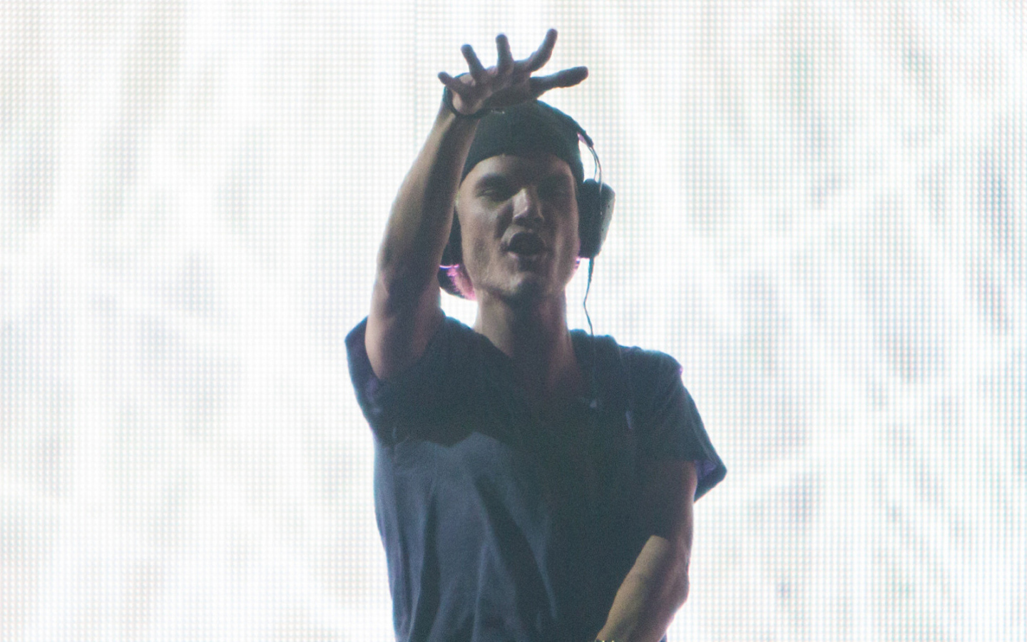 Avicii в клубе