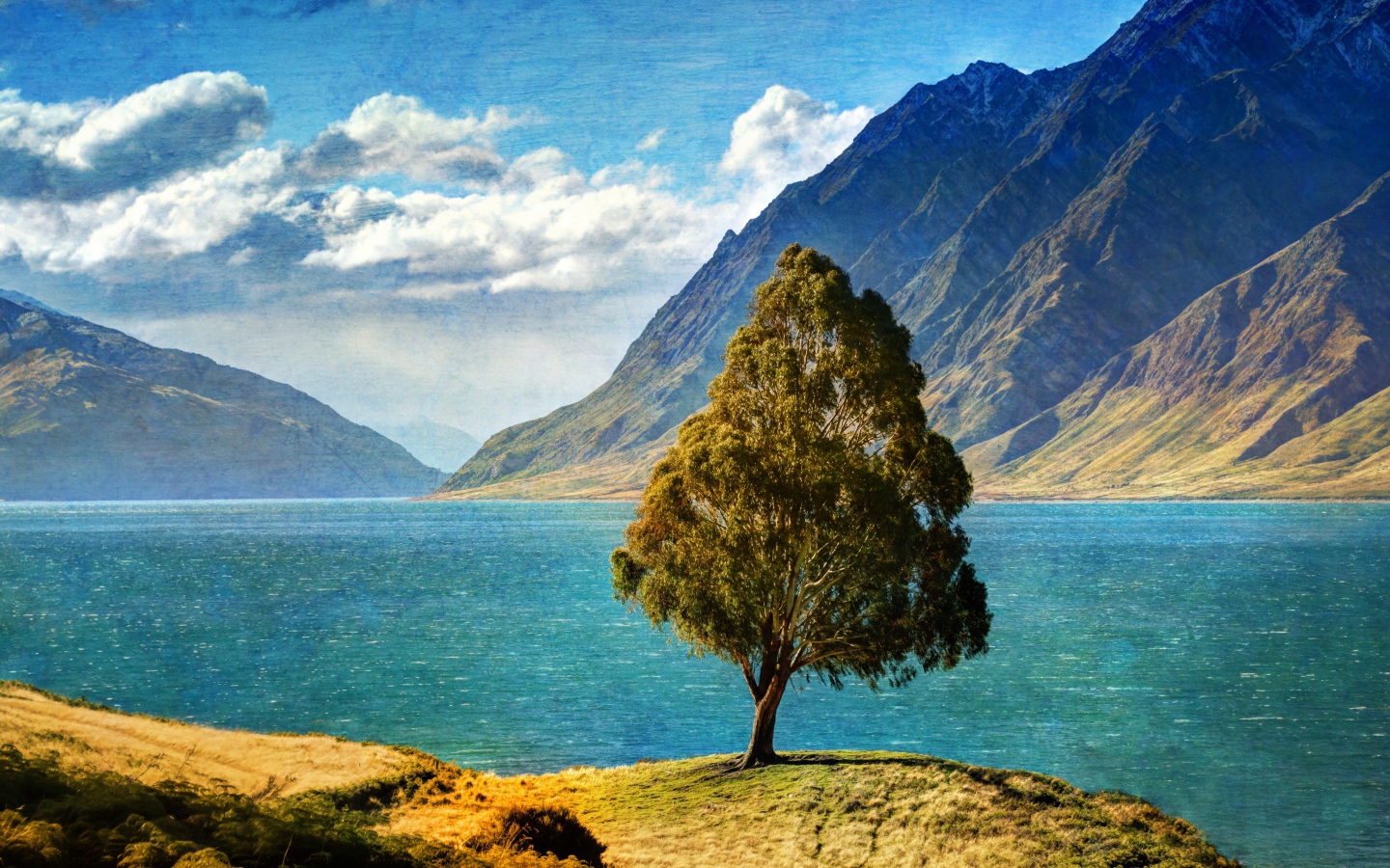 Дерево у озера