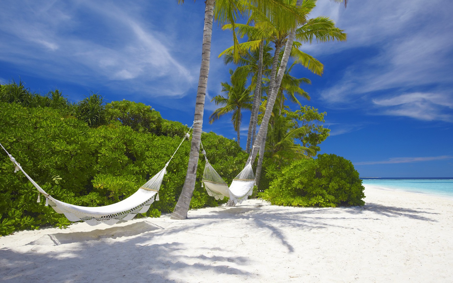 Гамаки подвешены на пальмах