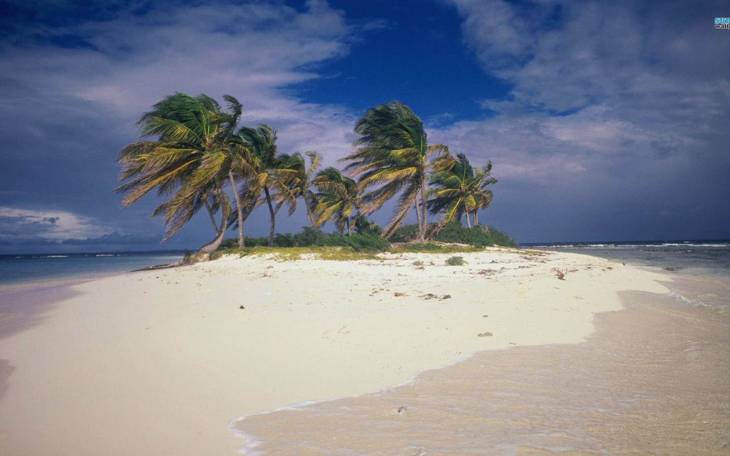 Шторм на пляже