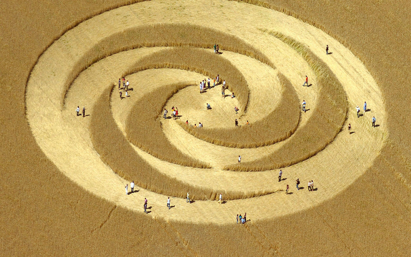 Круг на поле