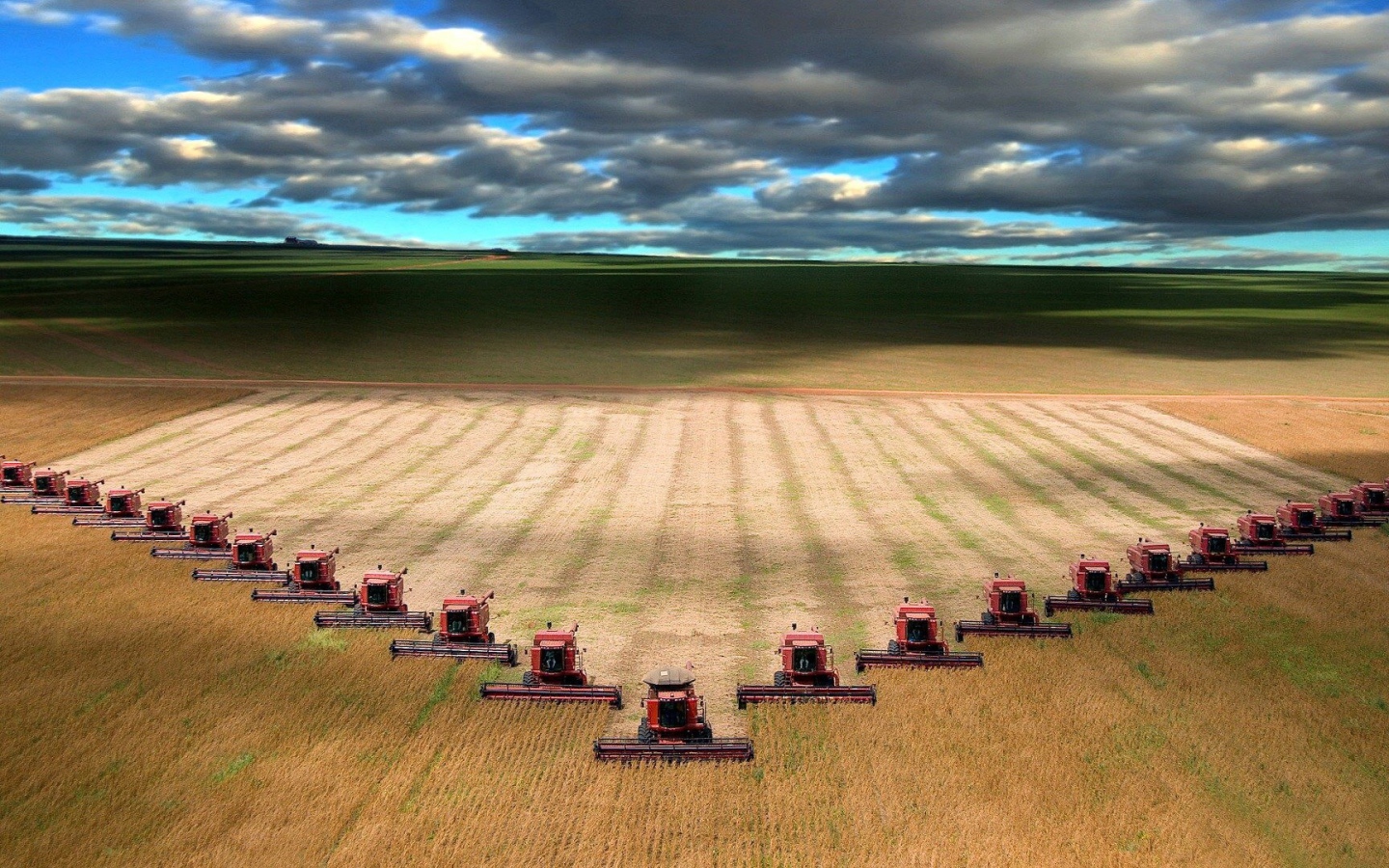 Уборка урожая