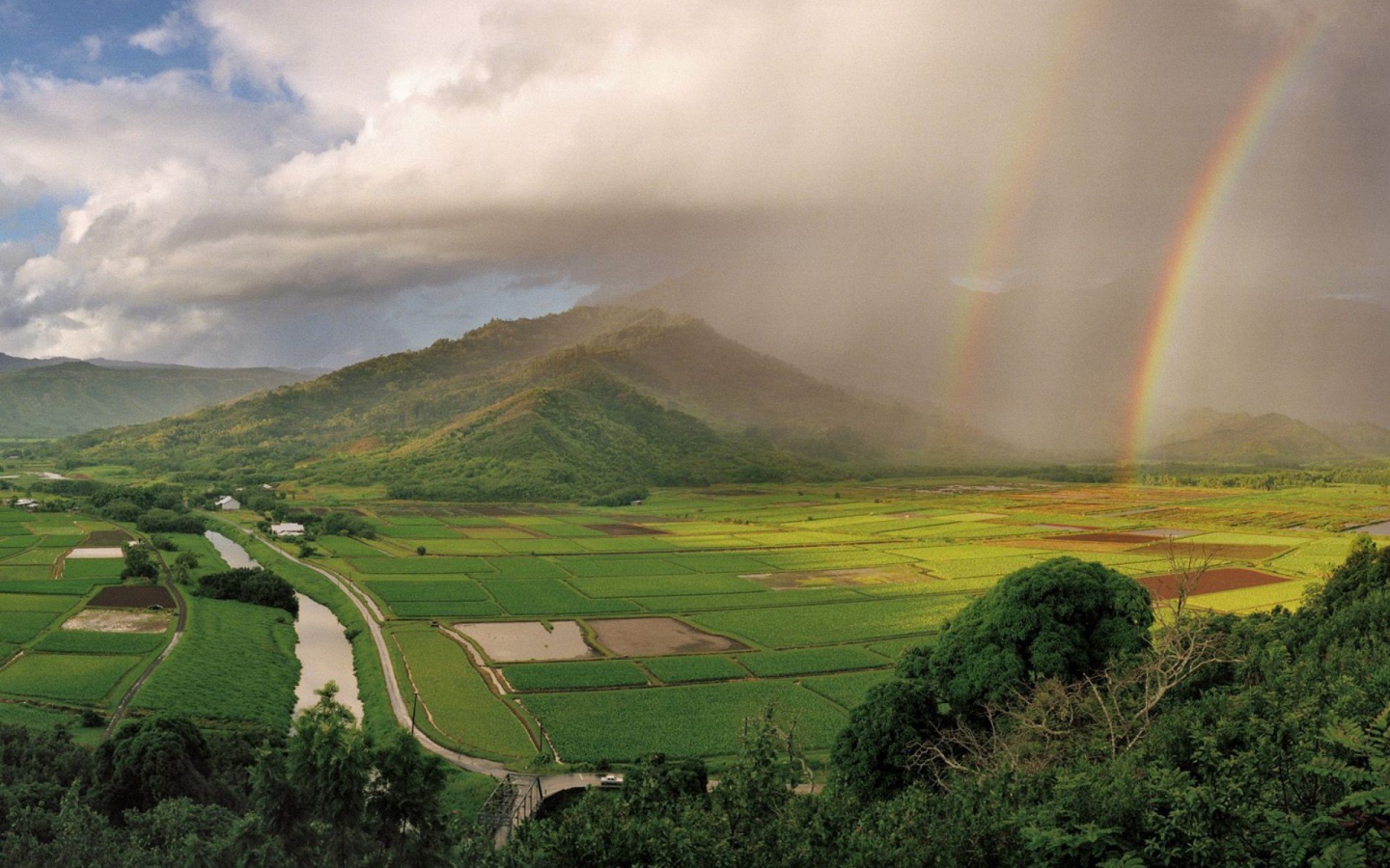 На Гавайях дождь