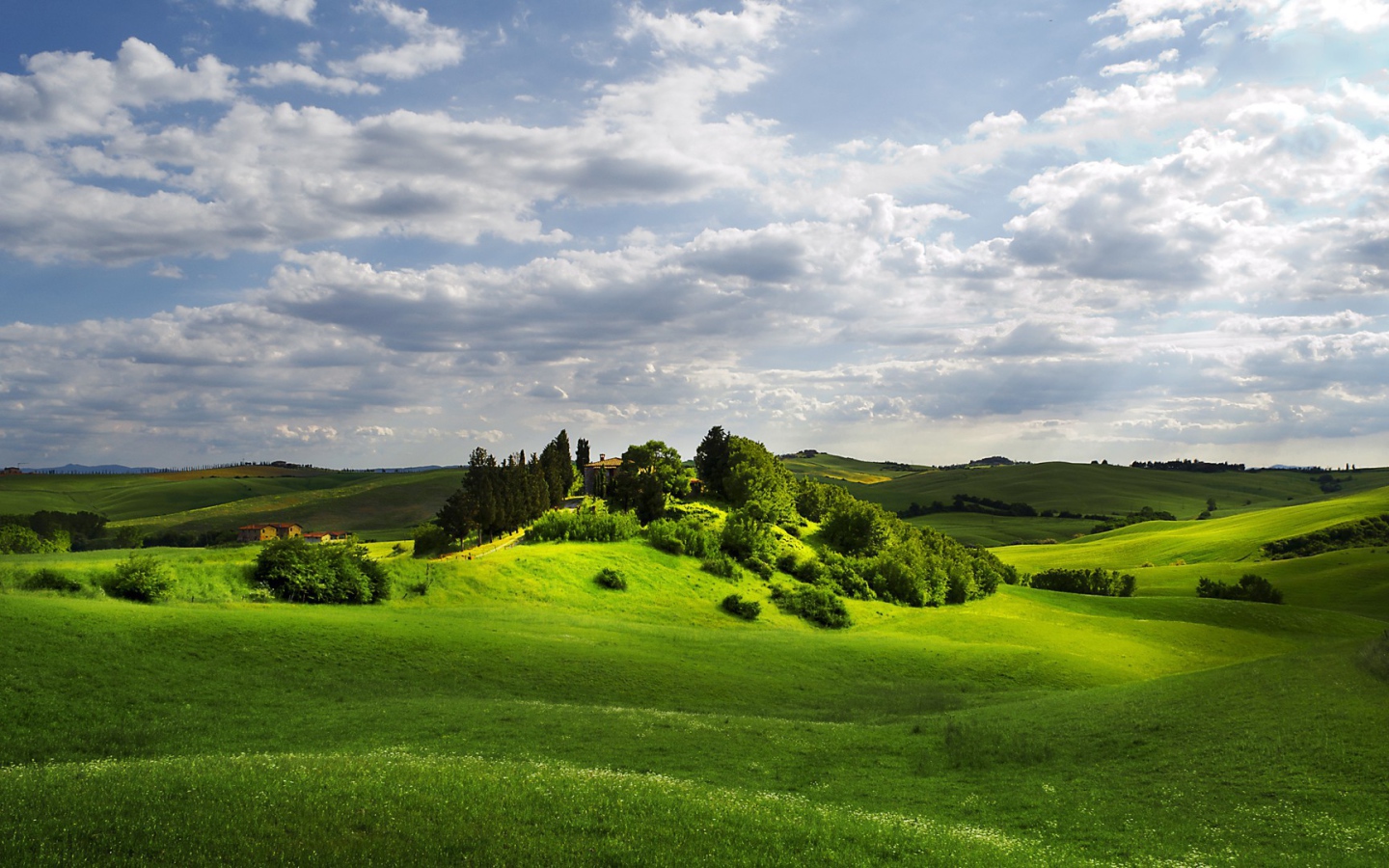 Изумрудно зеленые  холмы