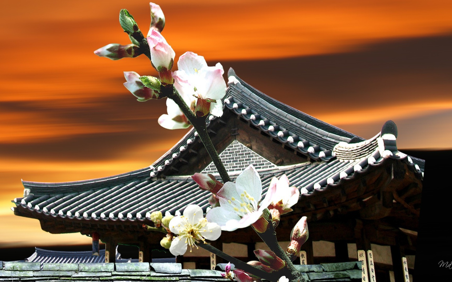 Цветы Японии