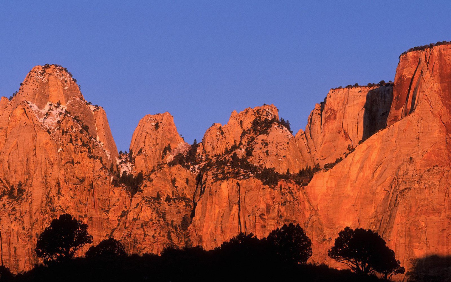 Красивый горный пейзаж с деревьями