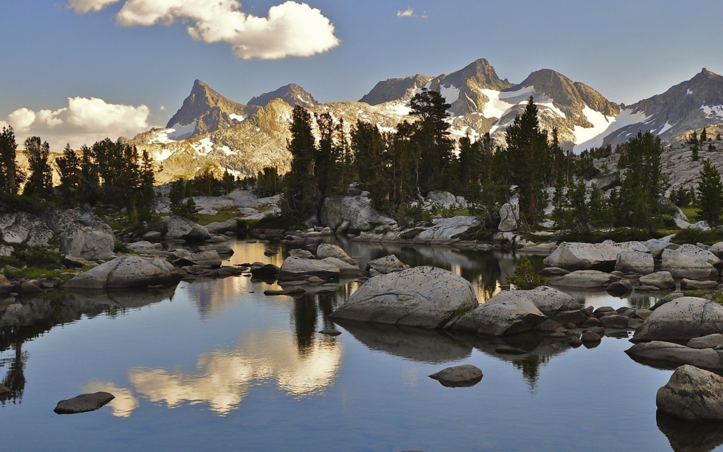 Хвойный Лес в горах