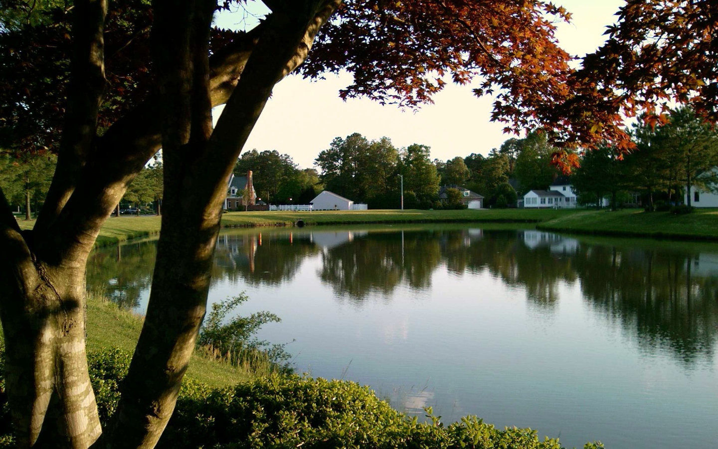 Тихий пруд в Германии