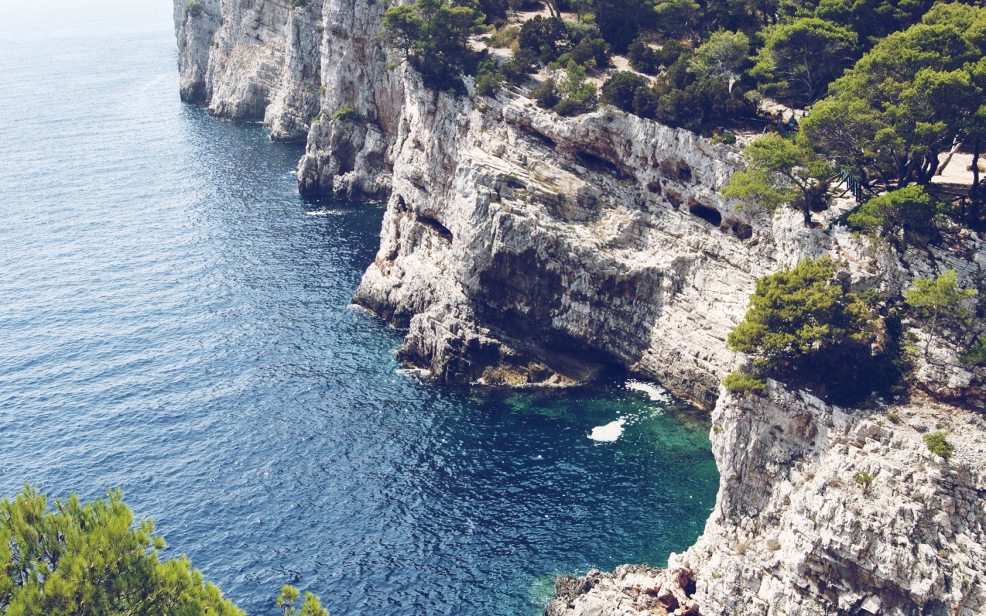 Обрывистый белый берег