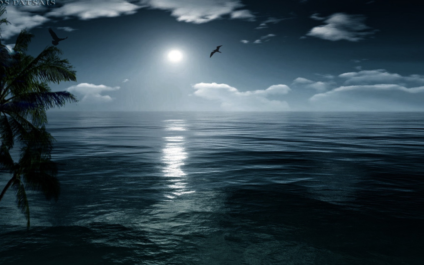 Птица летит на закате