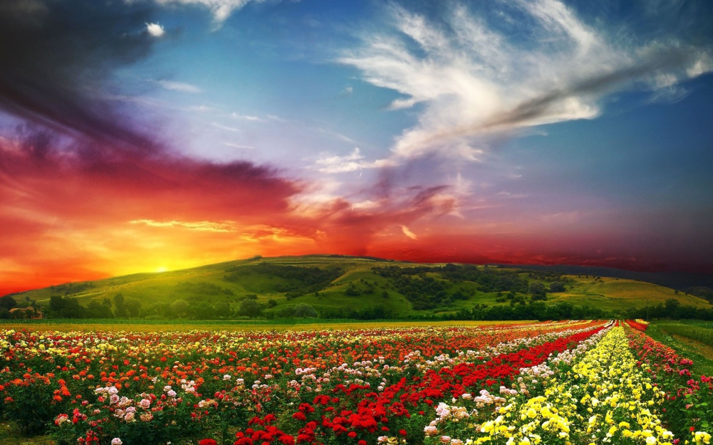 Красный закат над полем