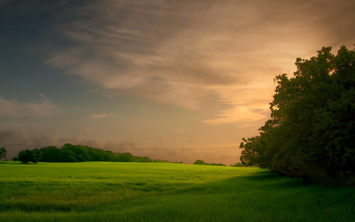 Закат на зеленом поле