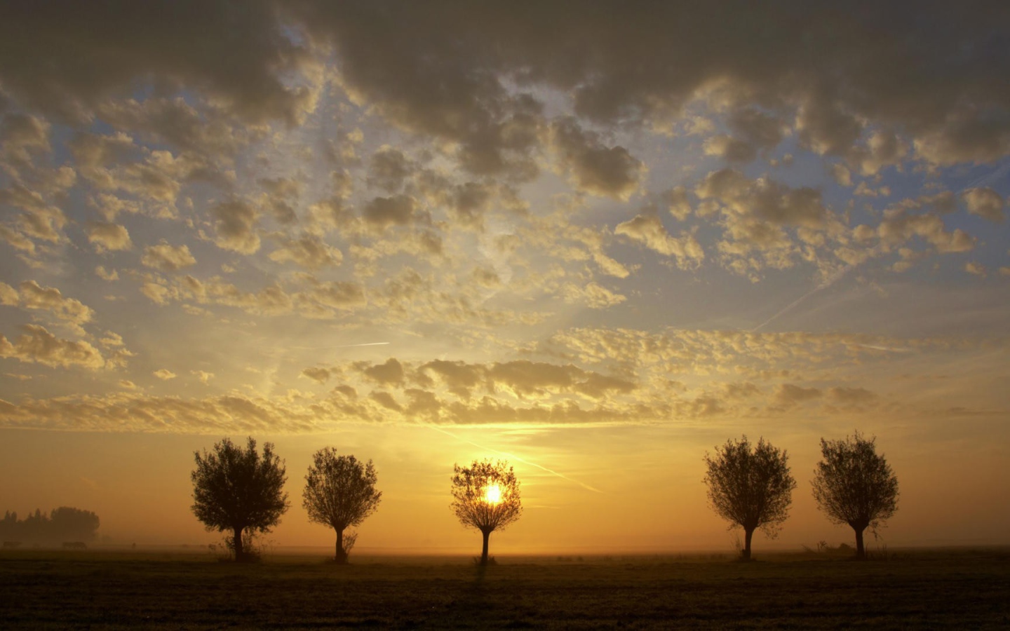 Закат за деревьями