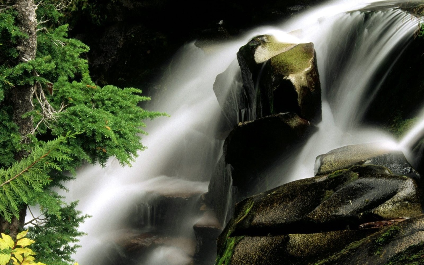 Водопад среди деревьев