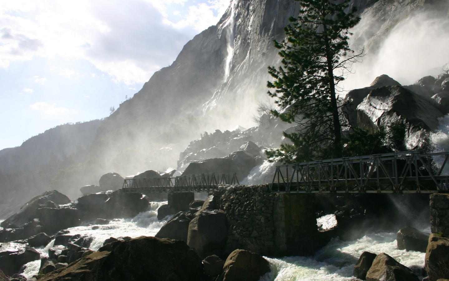 Одинокая сосна у водопада