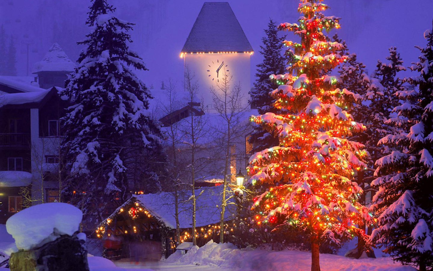 Елка на Новый Год 2014