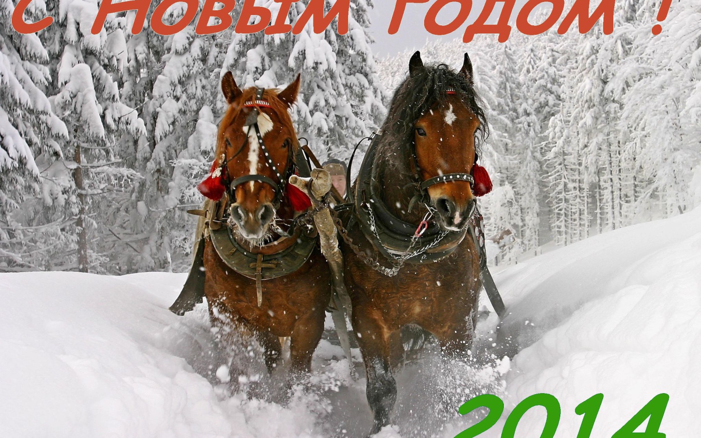 С новым годом 2014, лошадки бегут по снегу