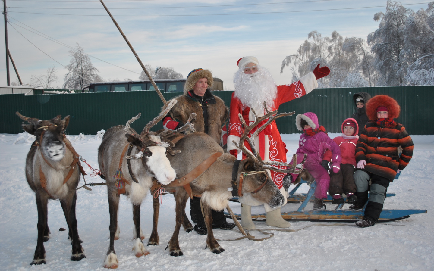 B гости к деду морозу