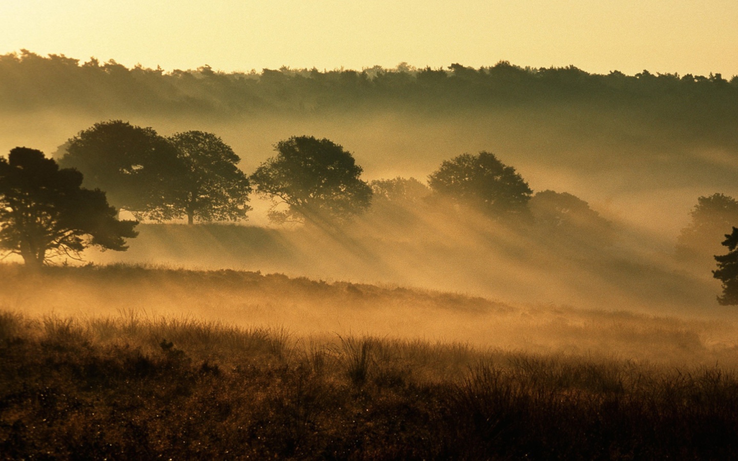 Национальный парк Нидерланды