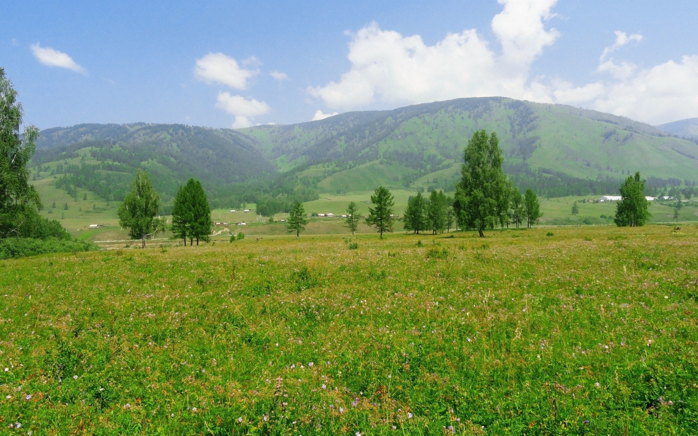 Российский пейзаж с холмами