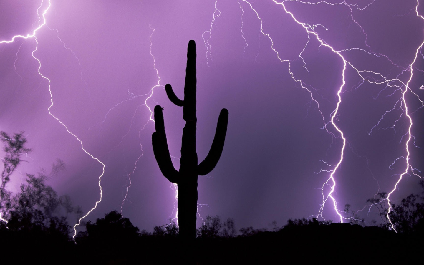 Гроза в Аризоне