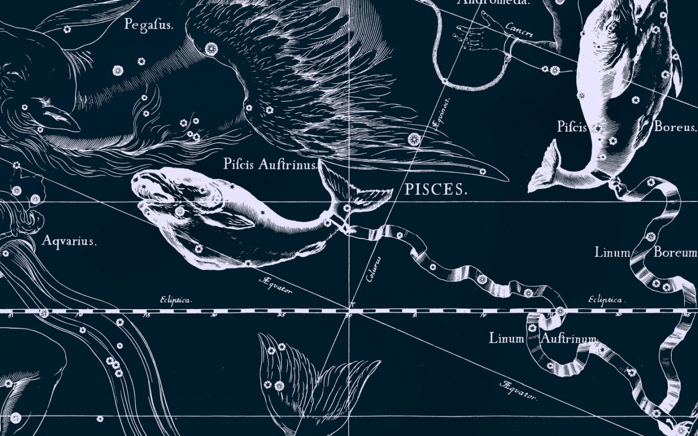 Карта звездного неба, рыбы