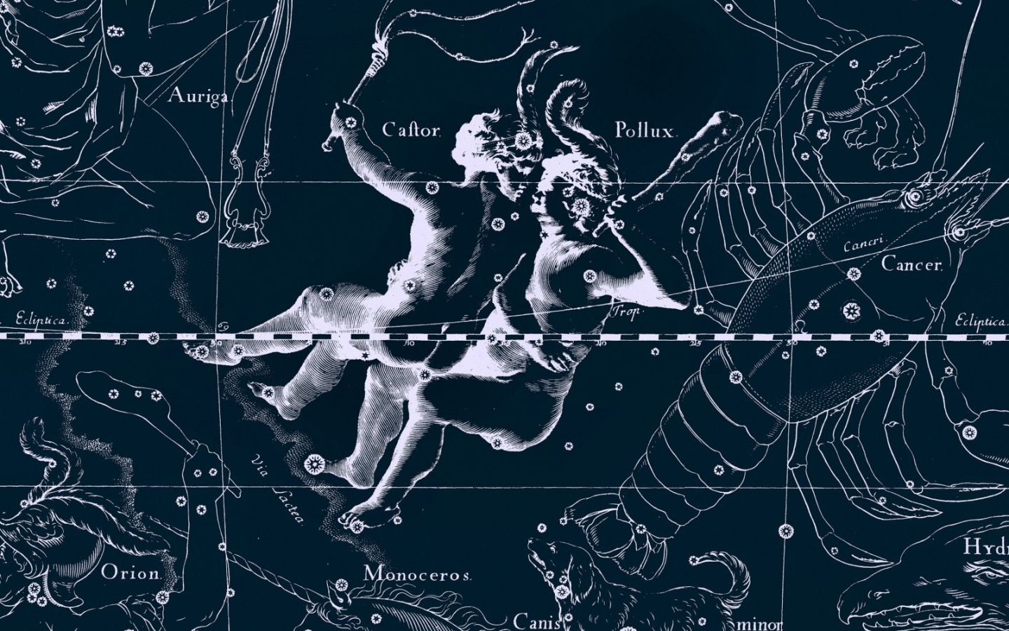 Star Chart Wallpaper