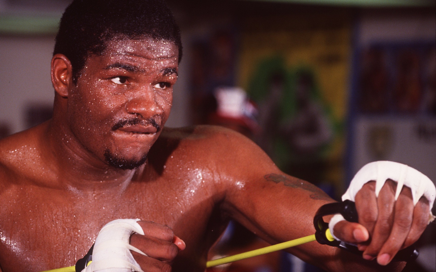 Боксер Риддик Боу