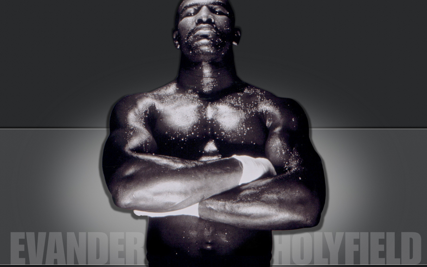 Железный Боксер Эвандер Холифилд