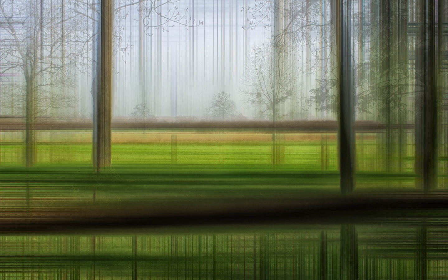 Размытый лес