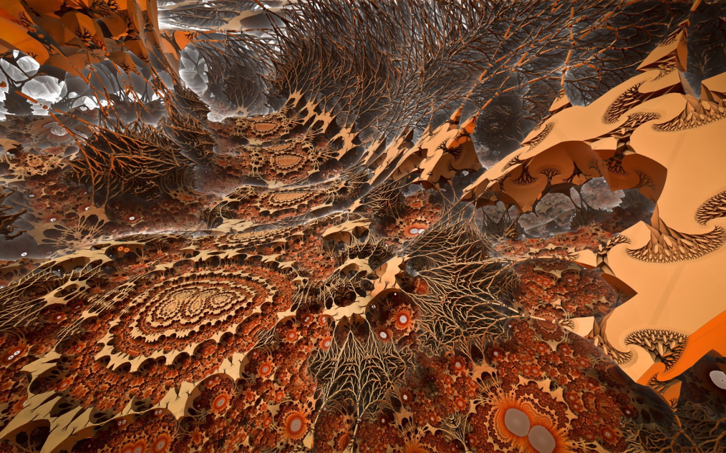 Загадочный мир корней