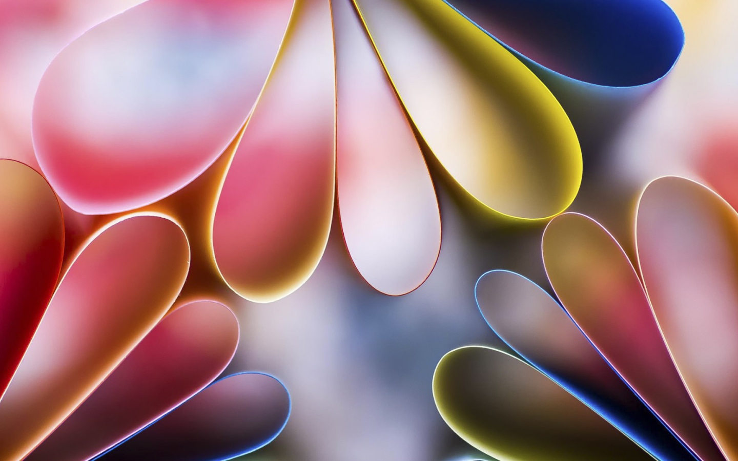 Лепестки цветов