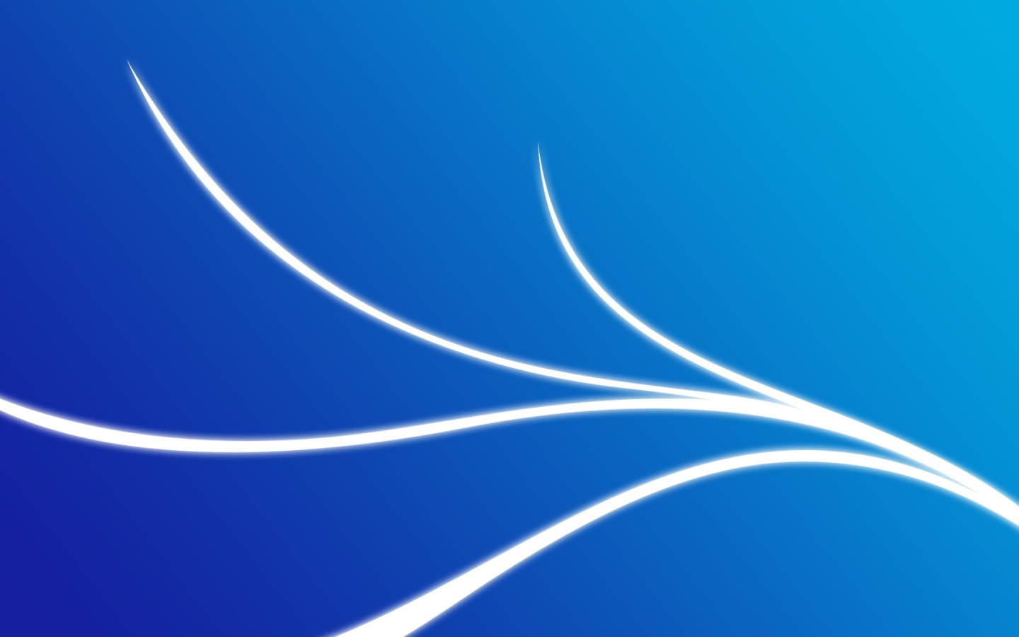 Мудрость света