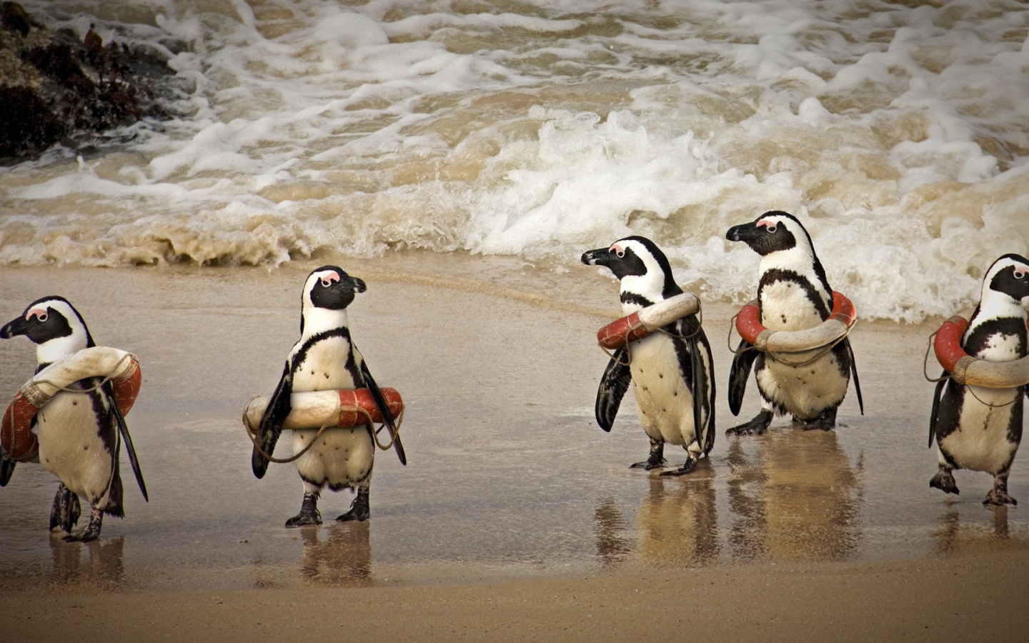 Cпасатели на льду