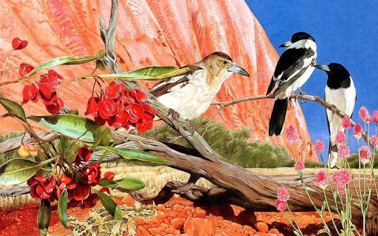 Общение птиц