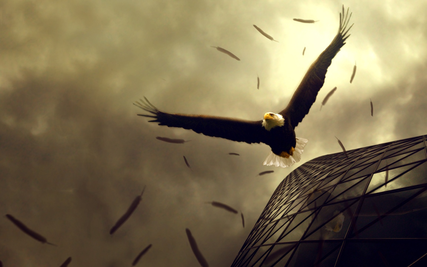 Орел теряет перья