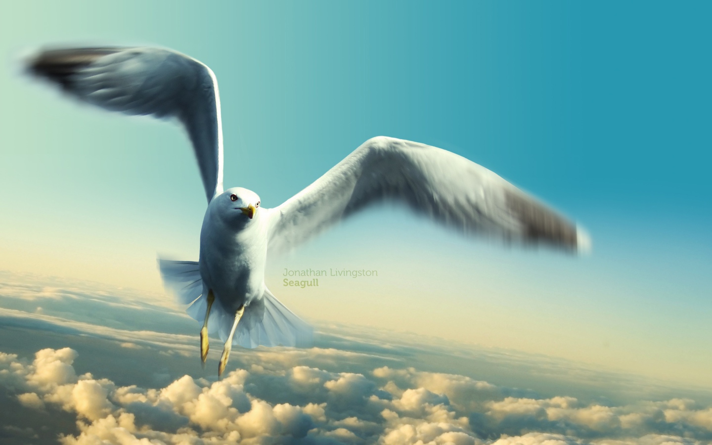 Jonathan livingston seagull