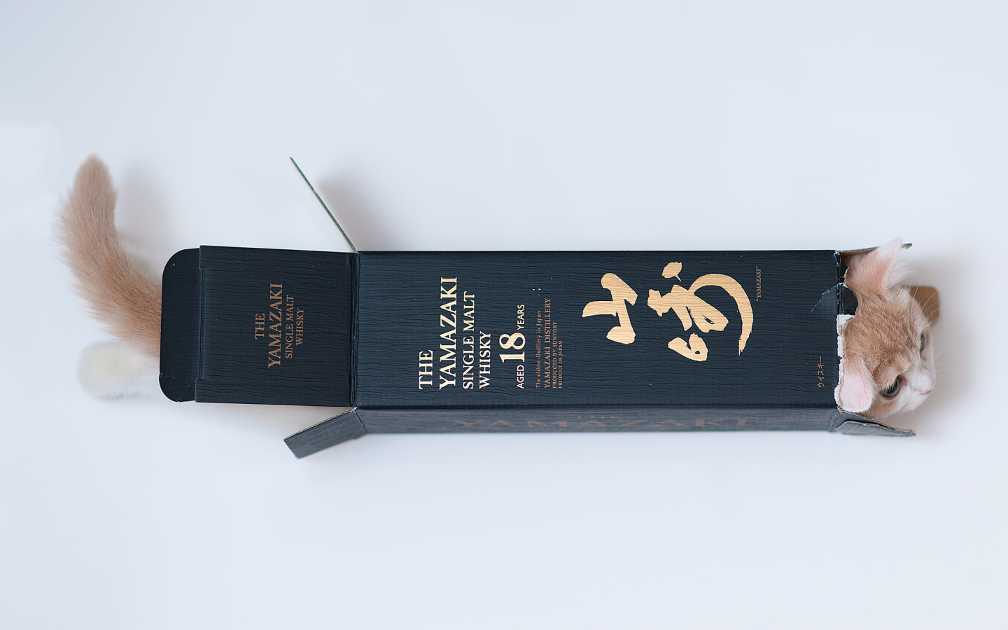 Котенок залез в коробку