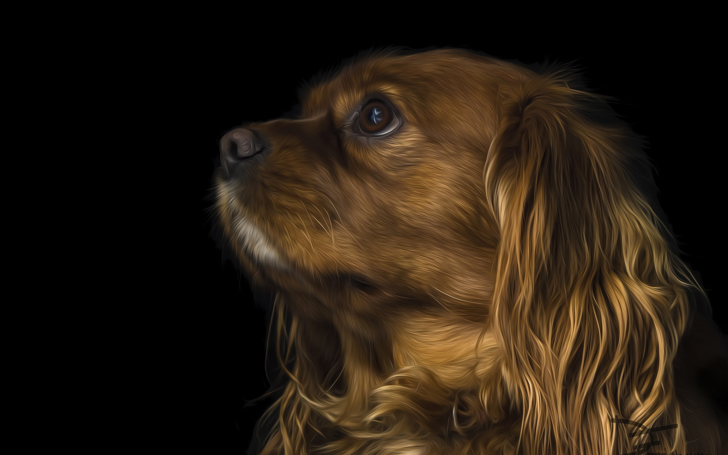 Коричневый кавалер кинг чарльз спаниель