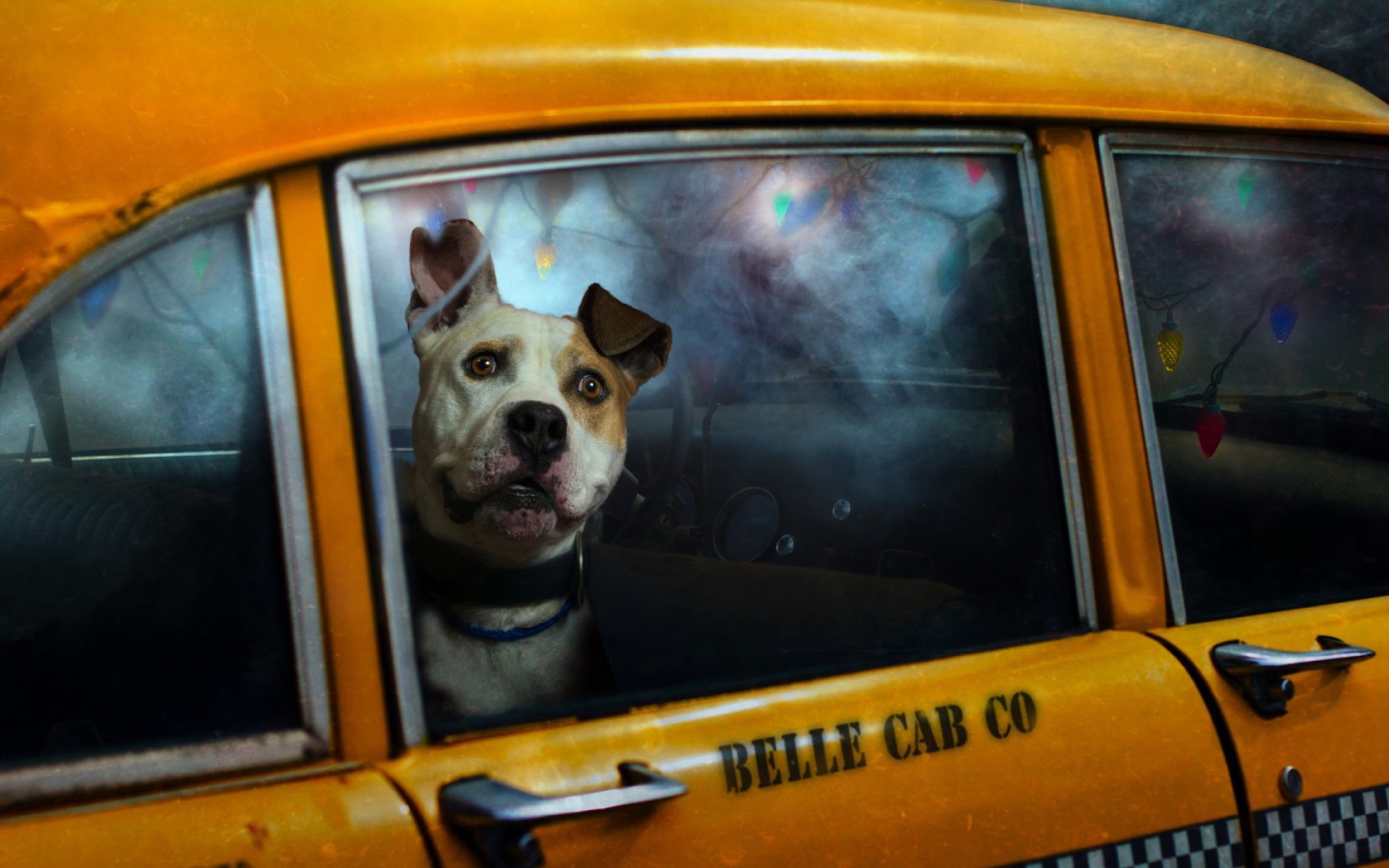 Cобака в такси