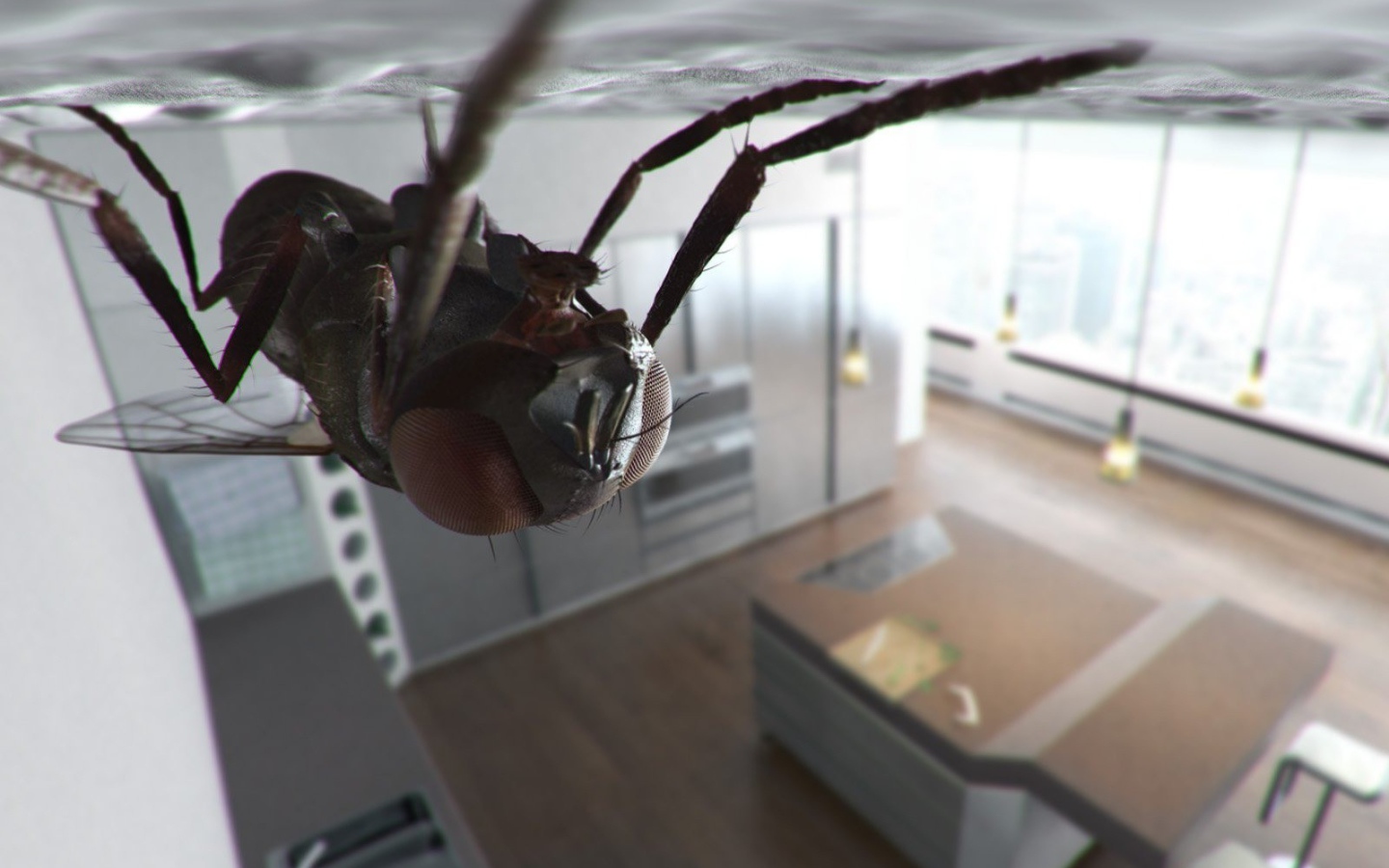 Муха сидит на потолке