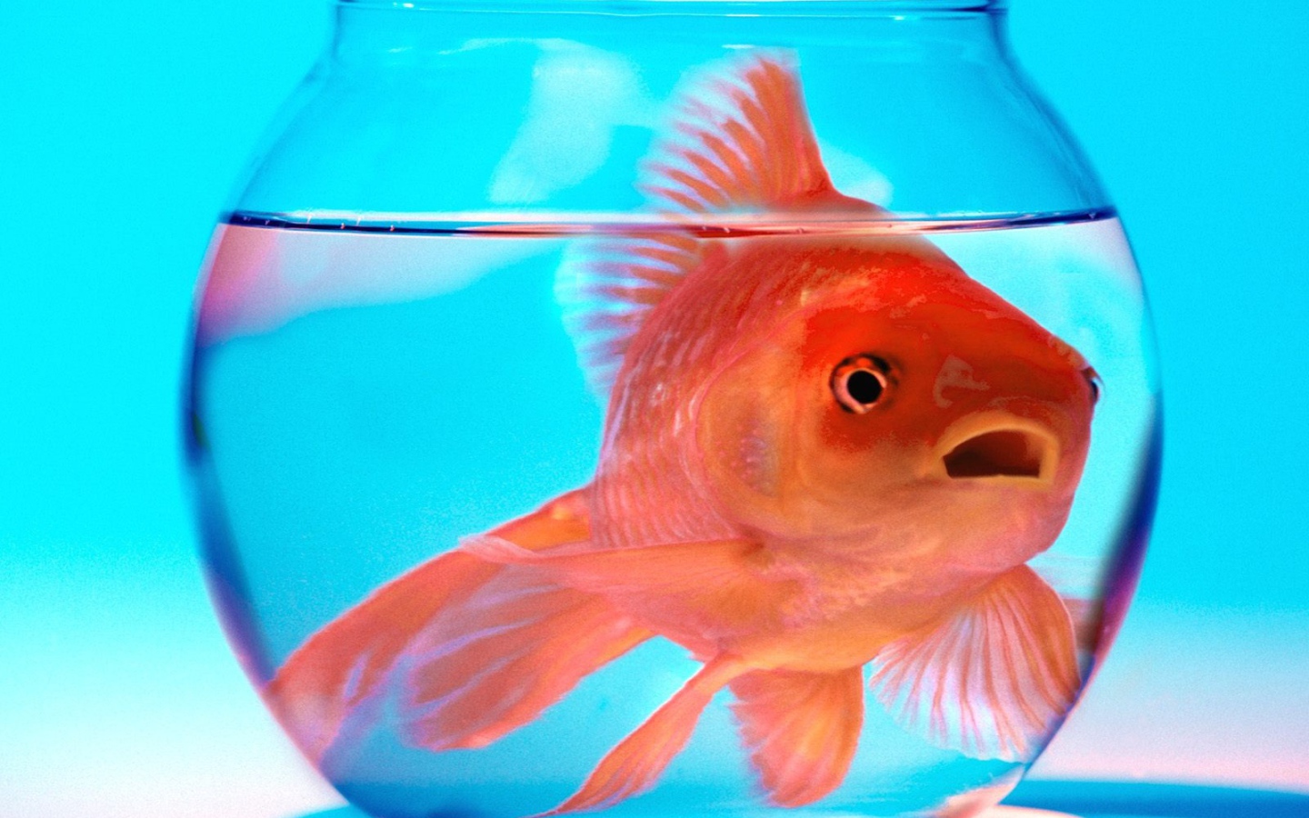 Не волнуйся