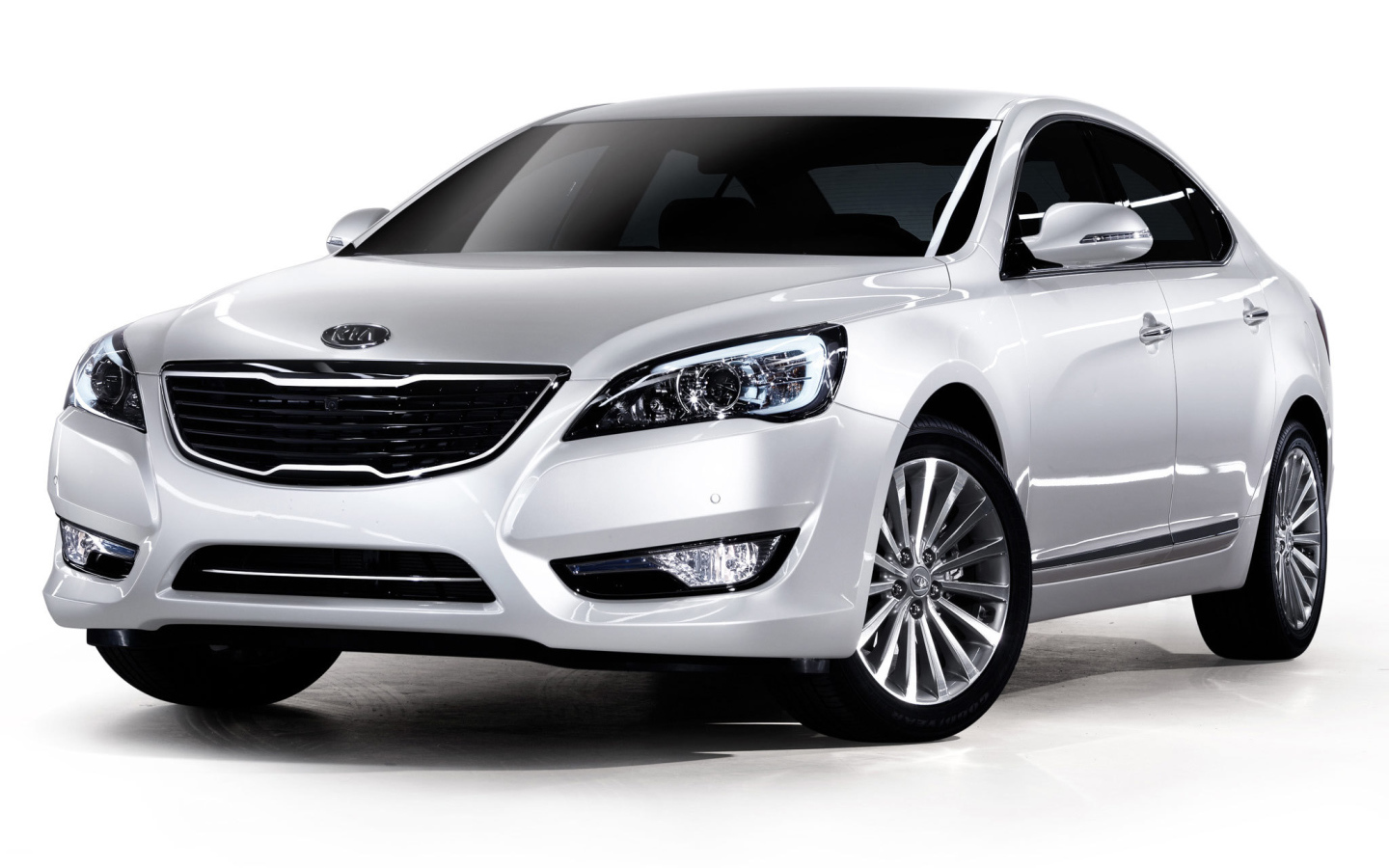 Тест драйв автомобиля Kia Cadenza 2014 года