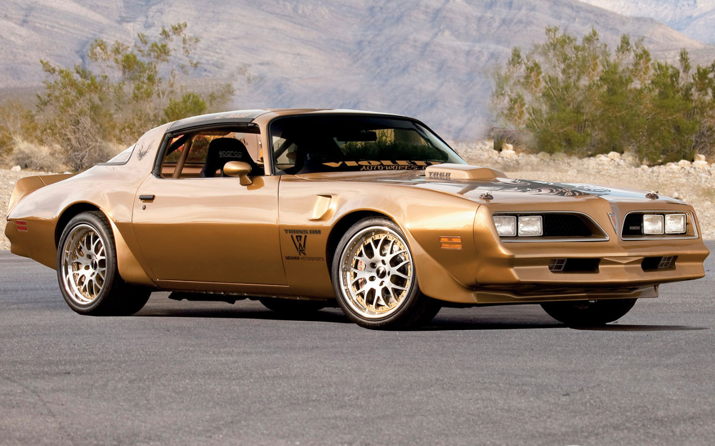 Тест драйв автомобиля Pontiac Trans Am