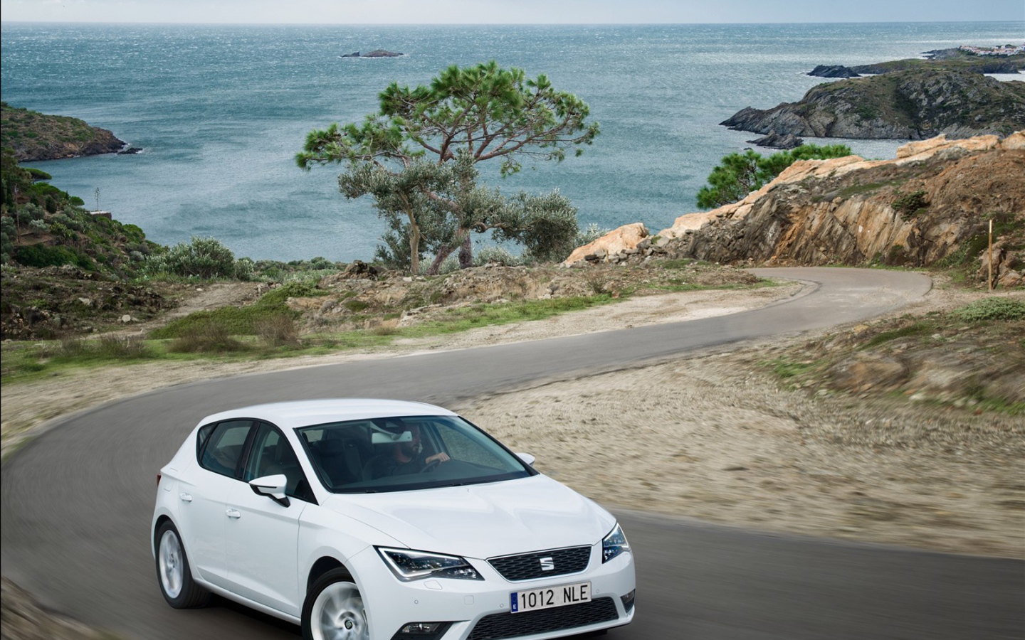  Надежный автомобиль Seat leon