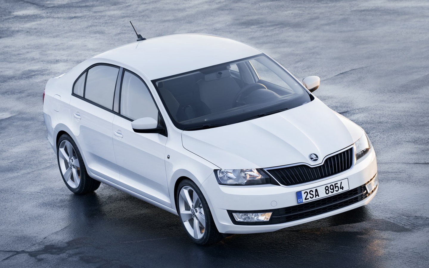 Красивый автомобиль Skoda Rapid в Москве
