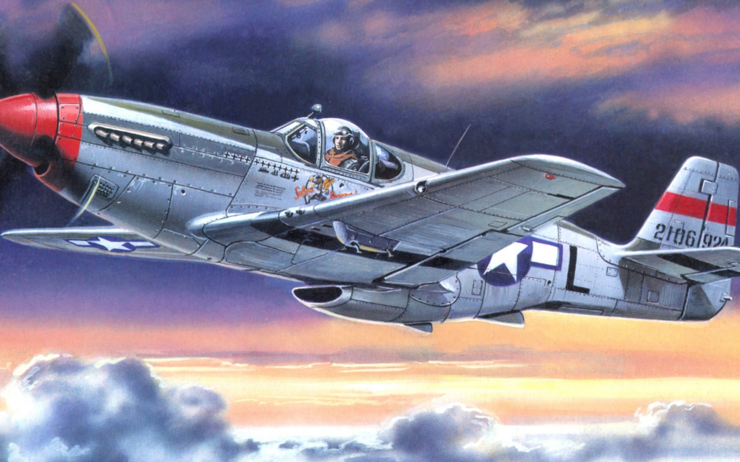 Воздушный боец