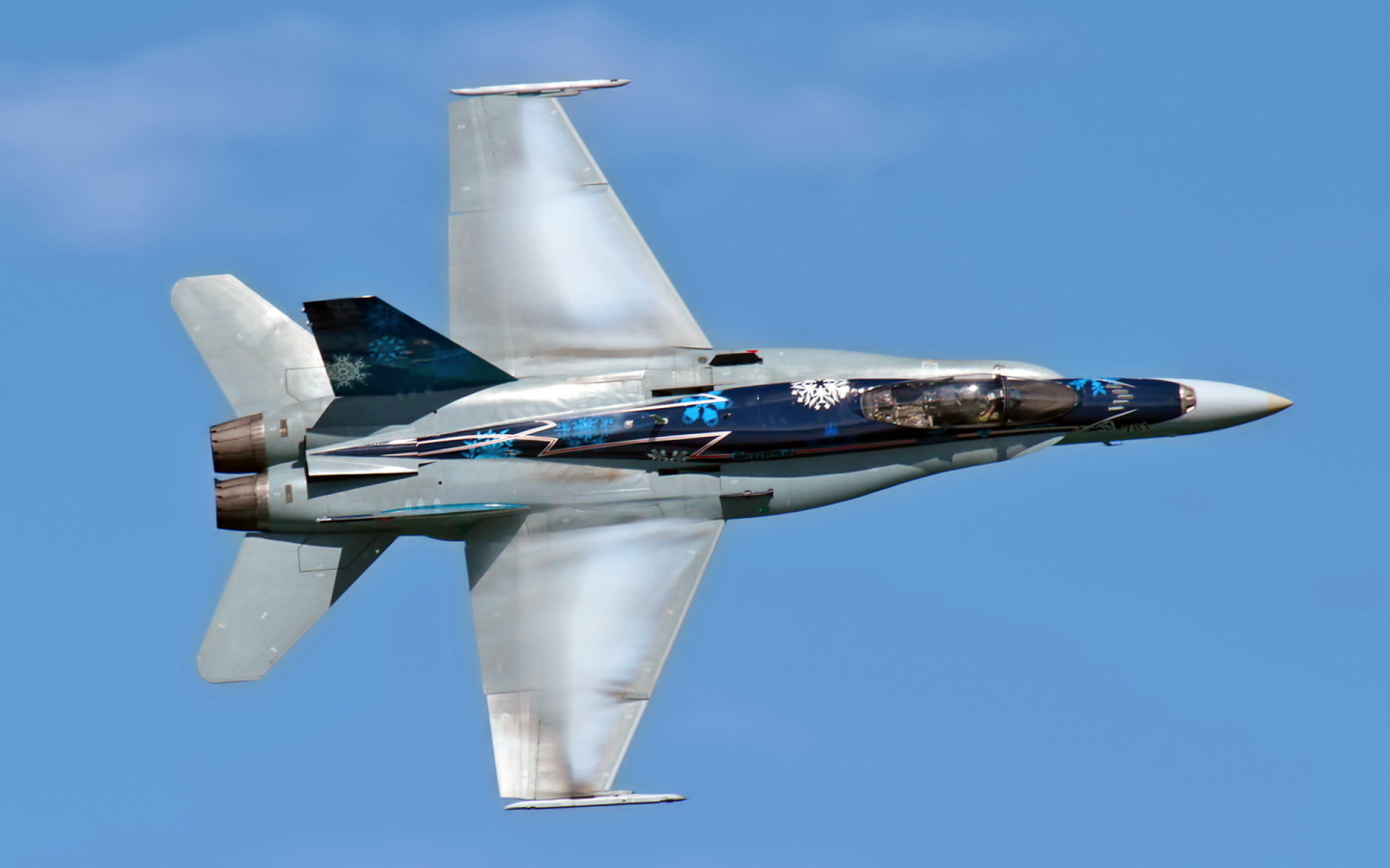 Самолет CF-18