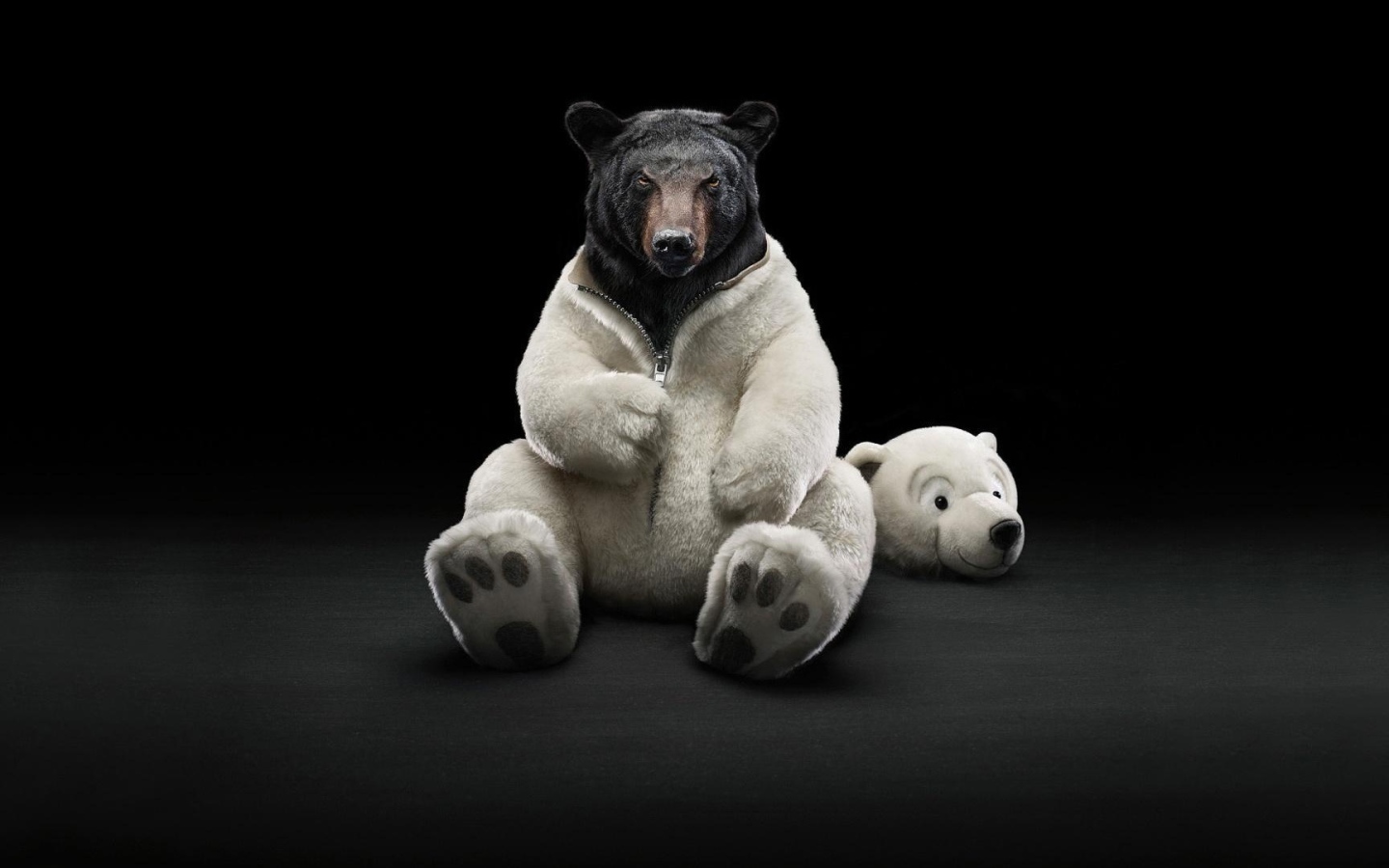 Черные обои с медведем